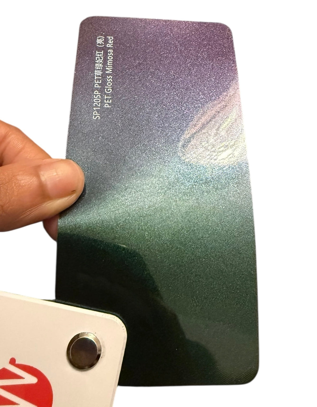Gloss Mimosa Red