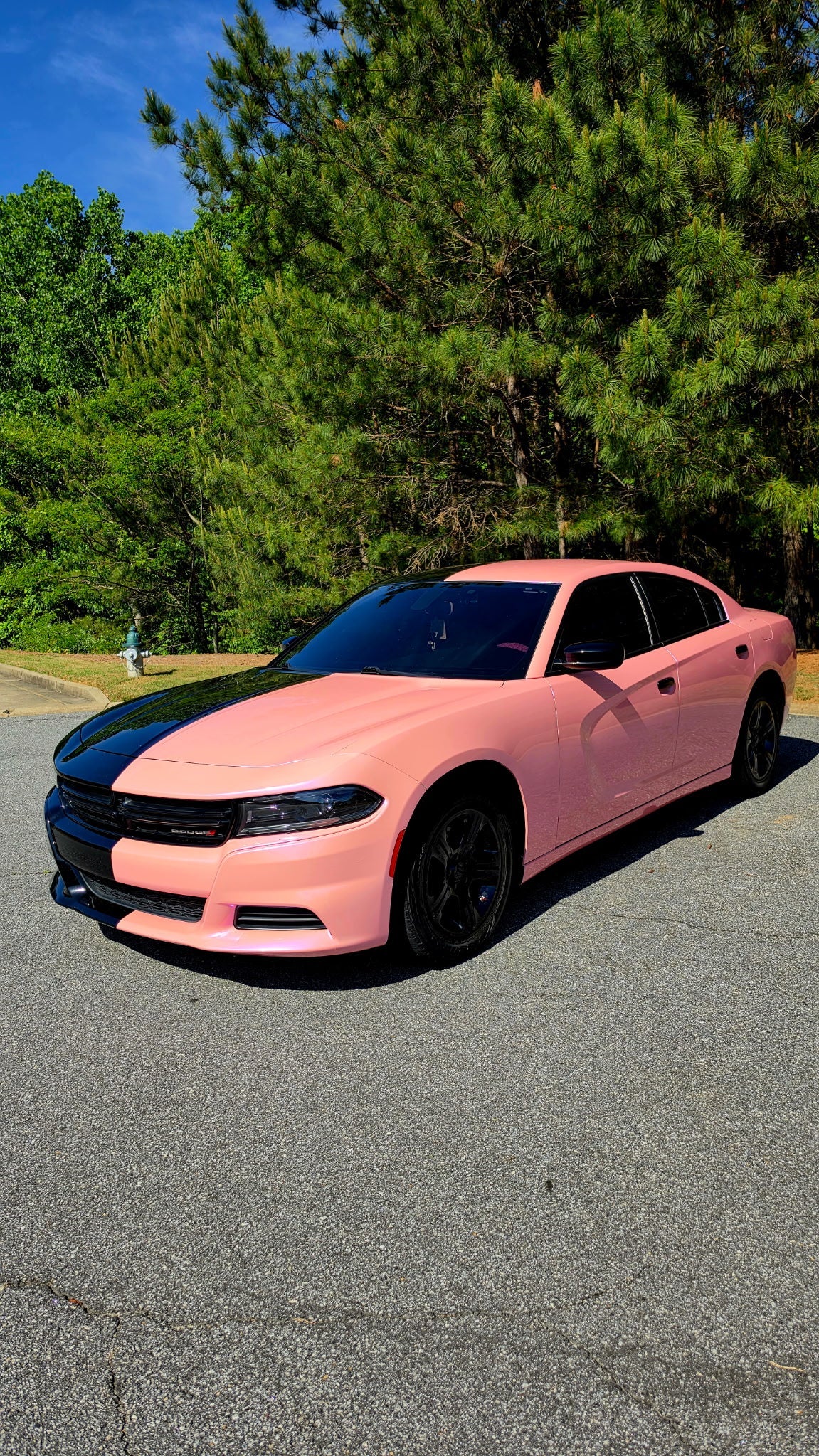 Fantastic pink